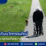 ไม้ค้ำยัน ยี่ห้อไหนดี เทียบตามประเภท พร้อมวิธีเลือกและปรับความสูง