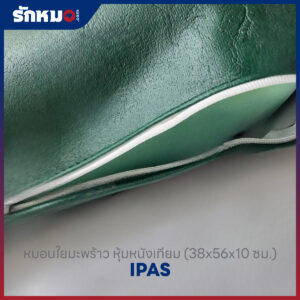หมอนใยมะพร้าว IPAS