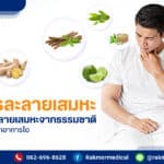สมุนไพรละลายเสมหะ มีอะไรบ้าง