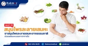 สมุนไพรละลายเสมหะ มีอะไรบ้าง