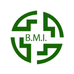 BMI