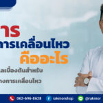 พิการทางการเคลื่อนไหว คือ