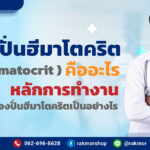.เครื่องปั่นฮีมาโตคริต-คืออะไร-(-Haematocrit-)-หลักการทำงานของเครื่องปั่นฮีมาโตคริตเป็นอย่างไร