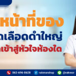 หลอดเลือดดํา ทําหน้าที่อะไร