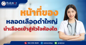 หลอดเลือดดํา ทําหน้าที่อะไร