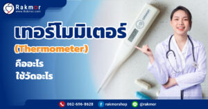 เครื่องวัดอุณหภูมิเทอร์โมมิเตอร์