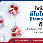 Hb คือ