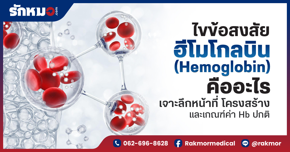 Hb คือ